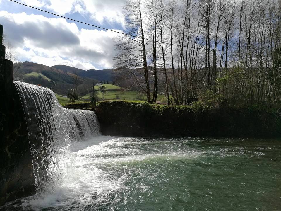 17202979_10210329750471670_4833063717285882244_n