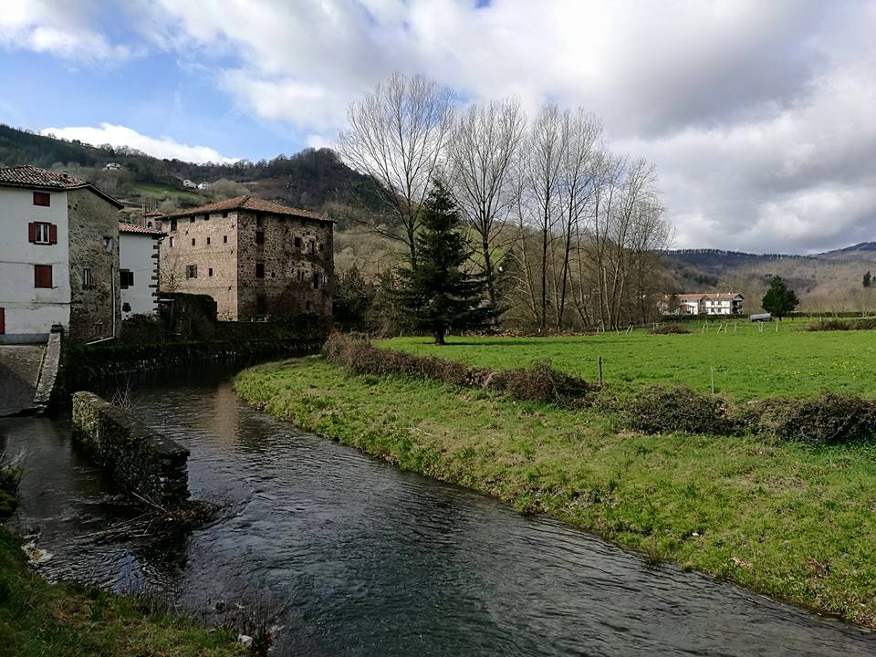 17203047_10210329749551647_5506138075889833022_n