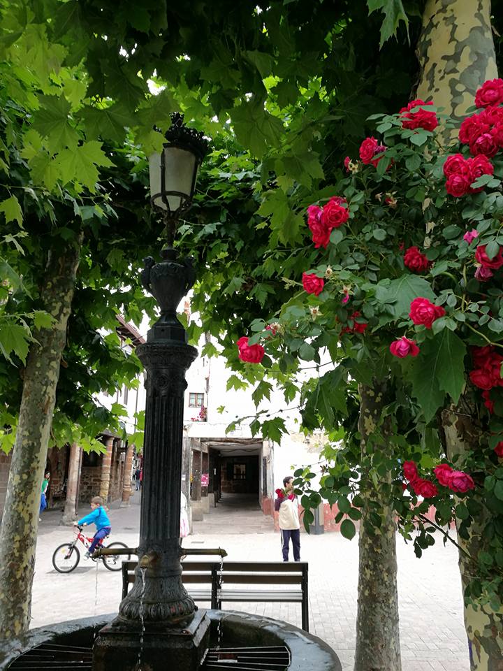 20139622_10211535208647371_6901316041690796326_n