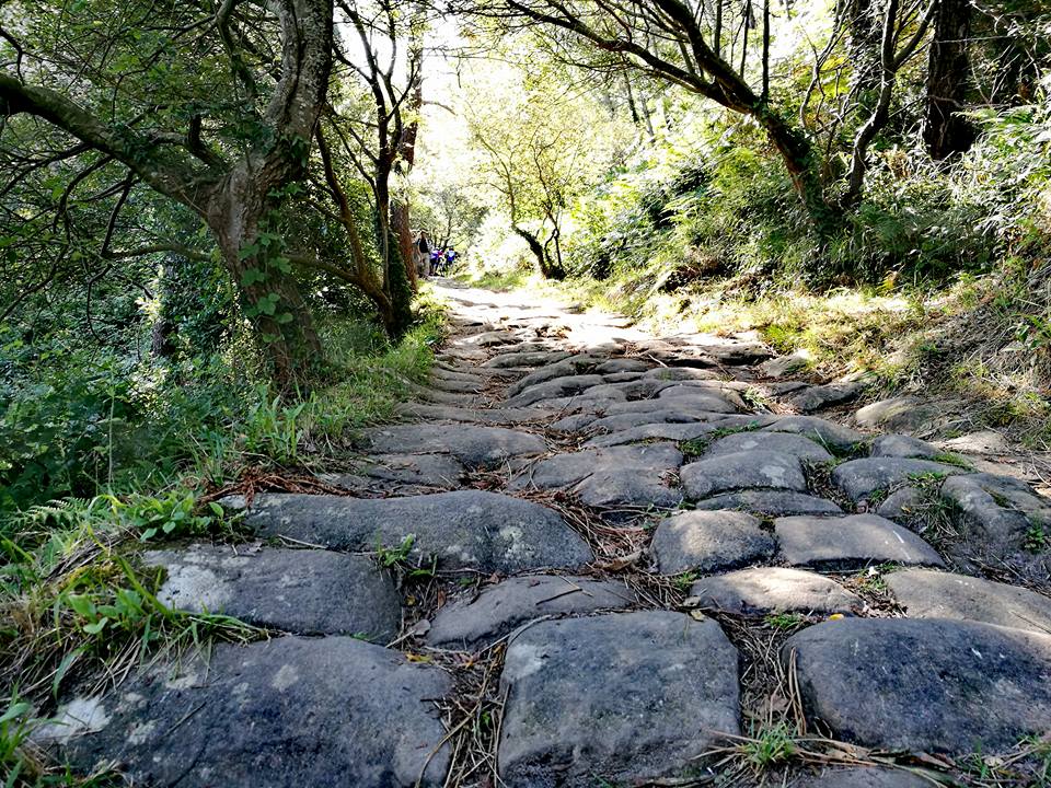 20245346_10211570085479270_6106914976887178618_n