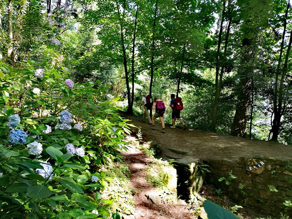 20258247_10211570083719226_1908203762251934370_n