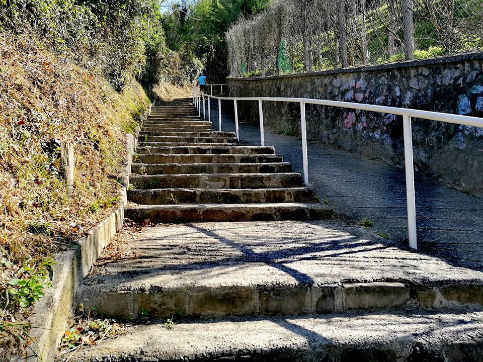 20292911_10211570076359042_1509542393729365769_n