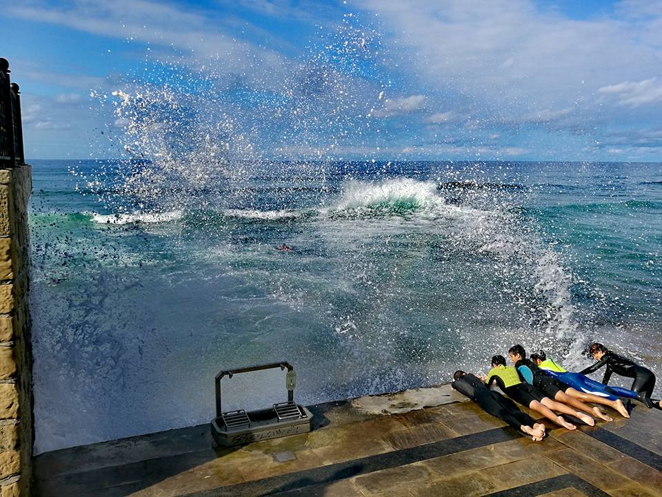 21317900_10211912756925842_1515517492164695386_n