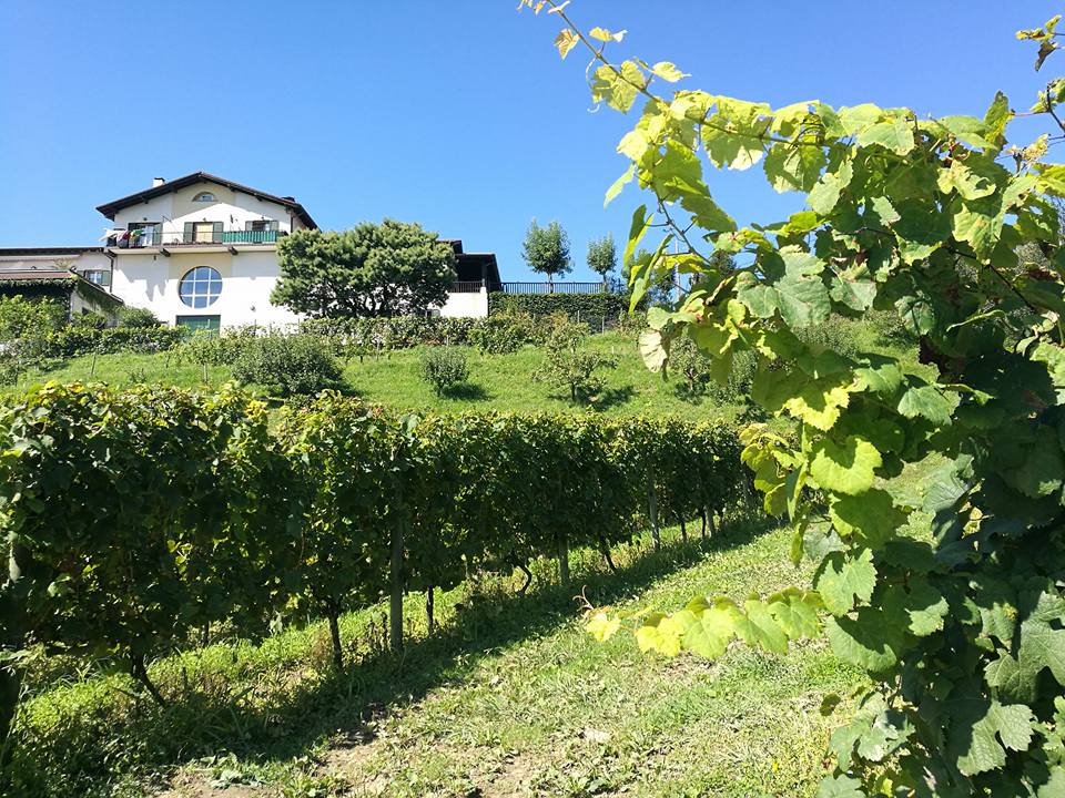 21369589_10211912754005769_3581845450332730768_n