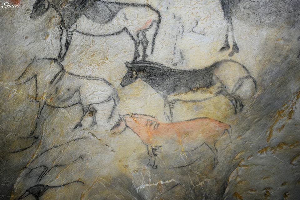 21463363_1598124310217921_218130040565747876_n