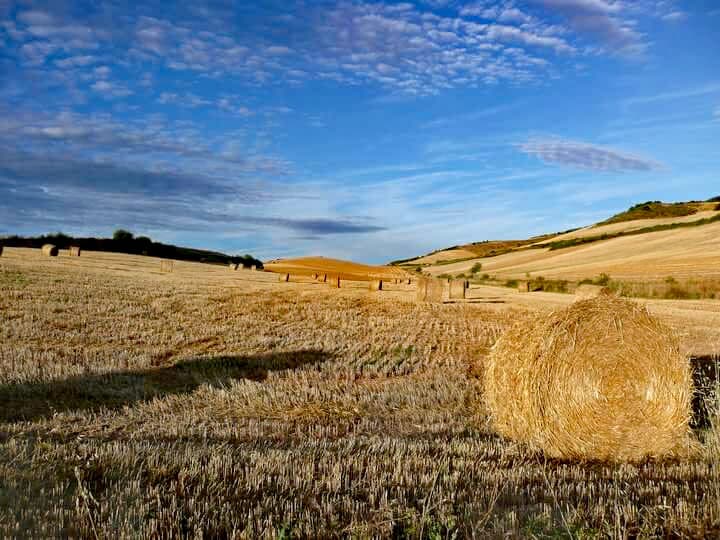 22309043_10212150989561509_6787588104034858502_n