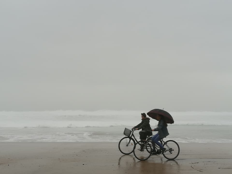 26731399_10212819652197657_3513612849862158293_n