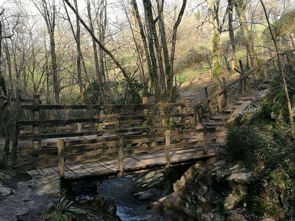 28168688_10213204142609677_4761872058499188774_n