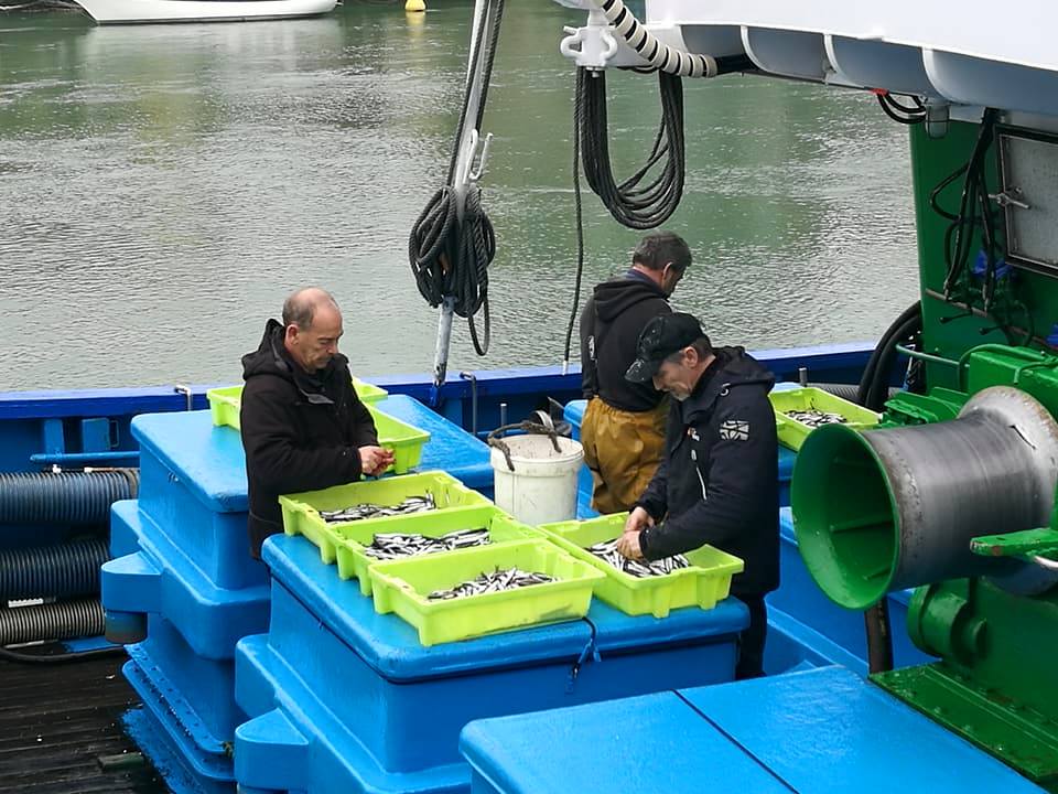 29541408_10213409320498996_7575222405102913992_n