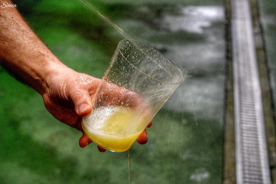 31421508_10213653713048657_539313024646561167_n