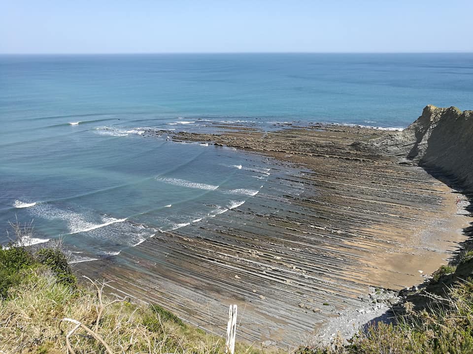 31512347_10213666477687765_2223590020890689396_n