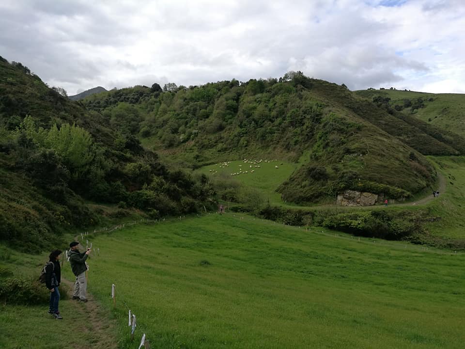 31641912_10213666477527761_6240766574787803000_n