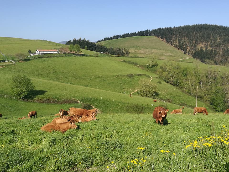 31659552_10213666483687915_6173328348781073199_n