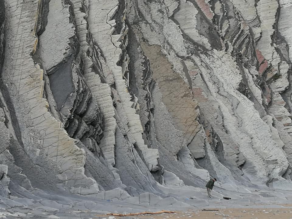 31687410_10213666475047699_4357422207521552621_n