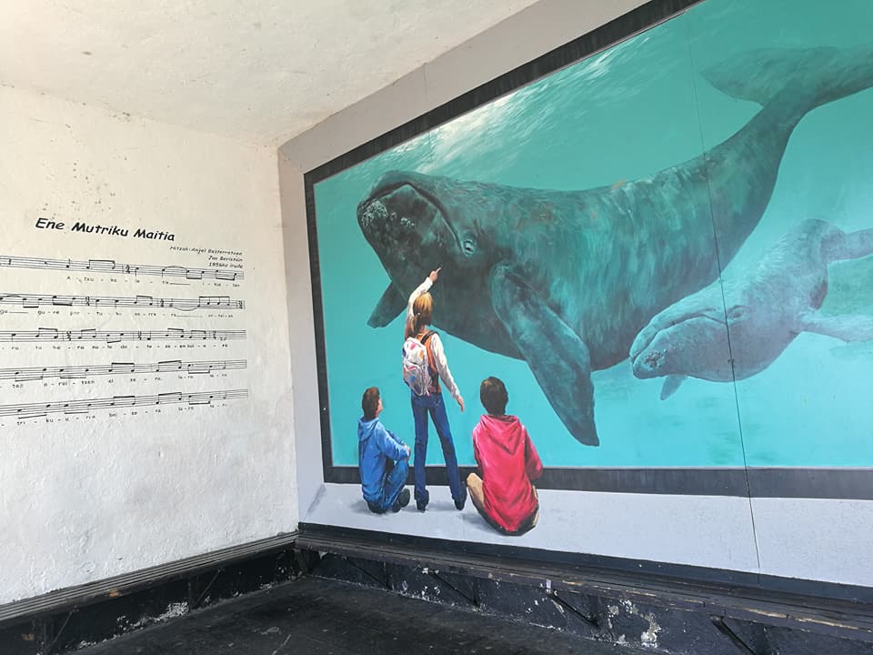 32243724_10213742038096728_7020854434565455872_n