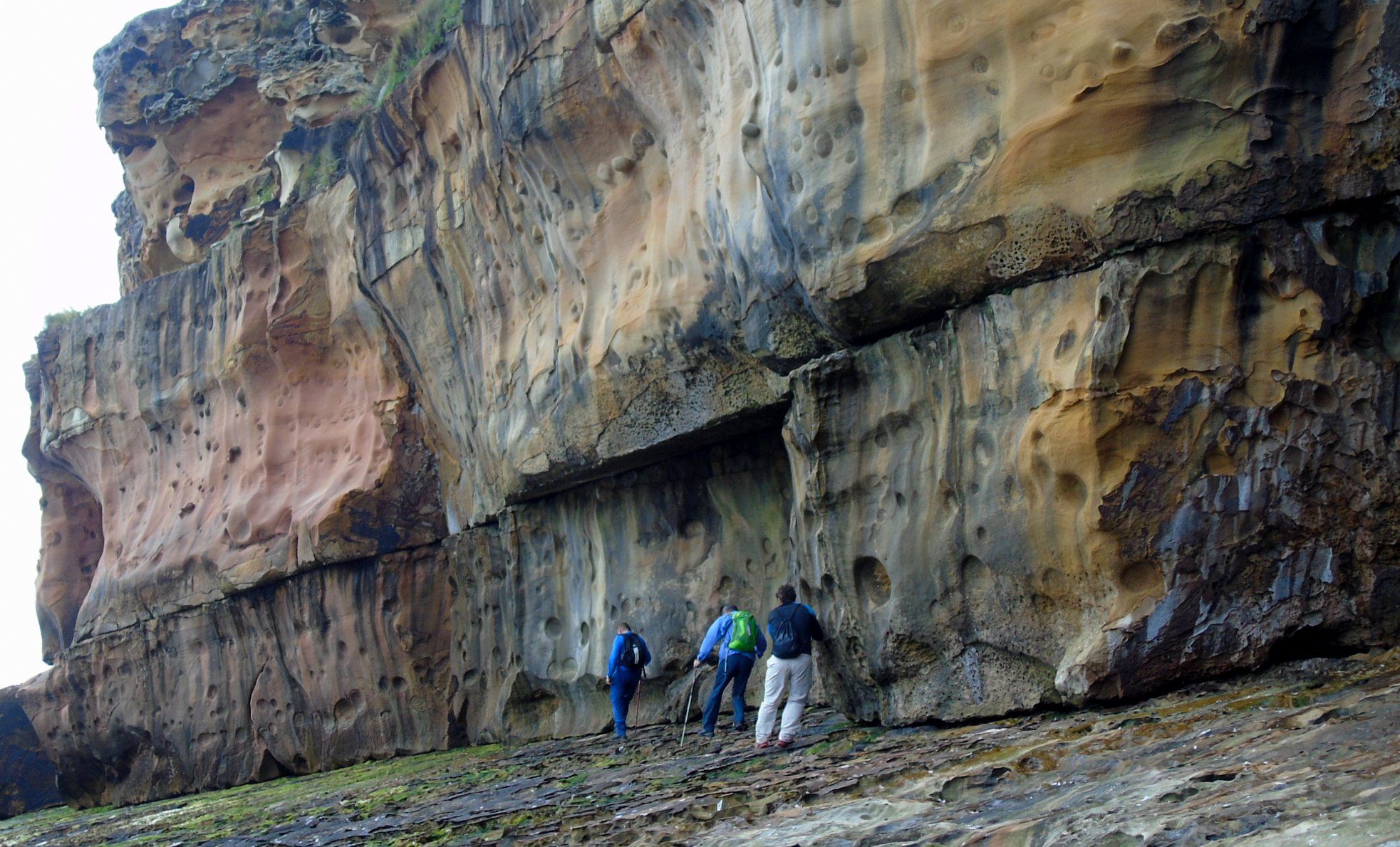 37488755_10214397812290673_1696234876140781568_o