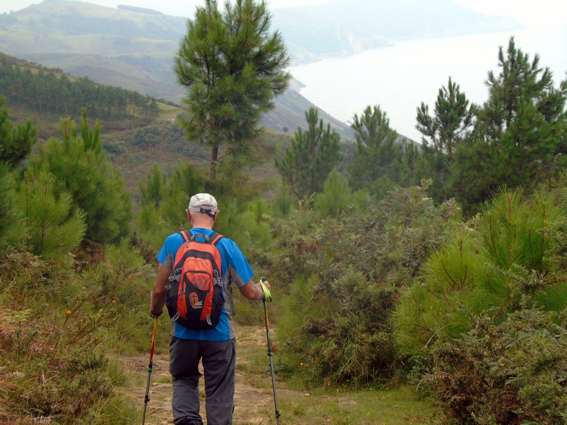 37549584_10214397817650807_1461170349663059968_o