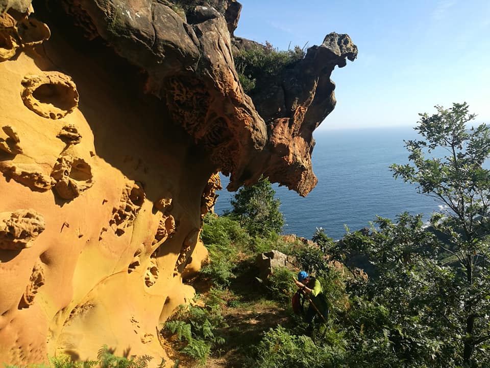 38212407_10214310420905943_8593947830916218880_n