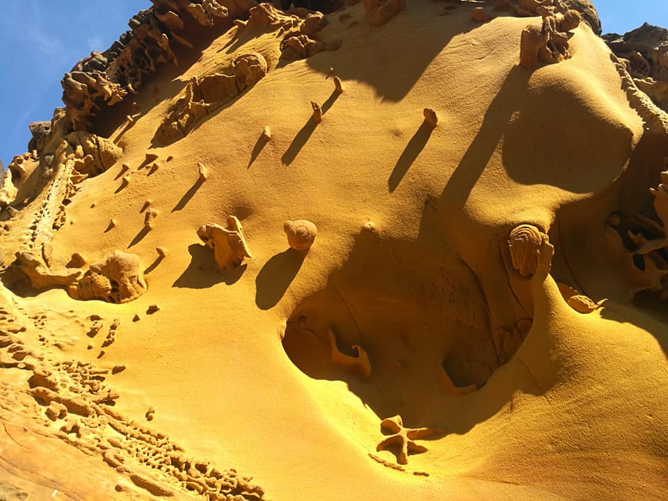 38405241_10214310433466257_5728265025898938368_n