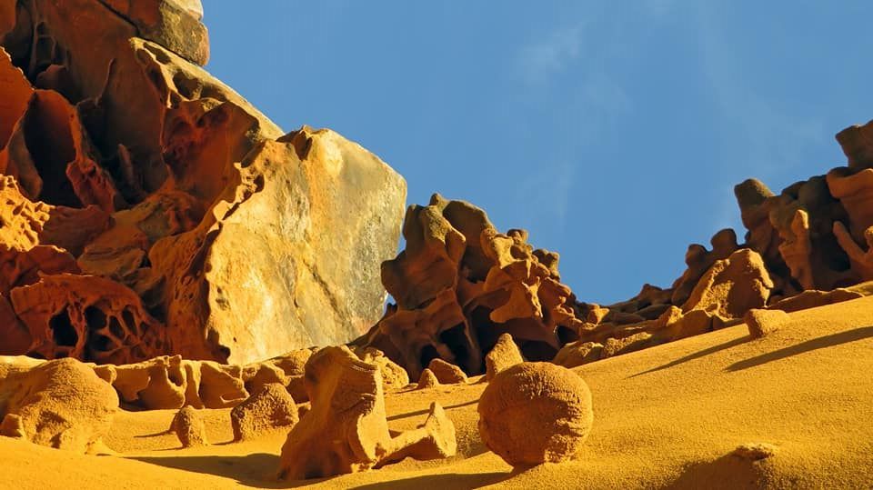 38411683_10214318019295898_3363316600903041024_n