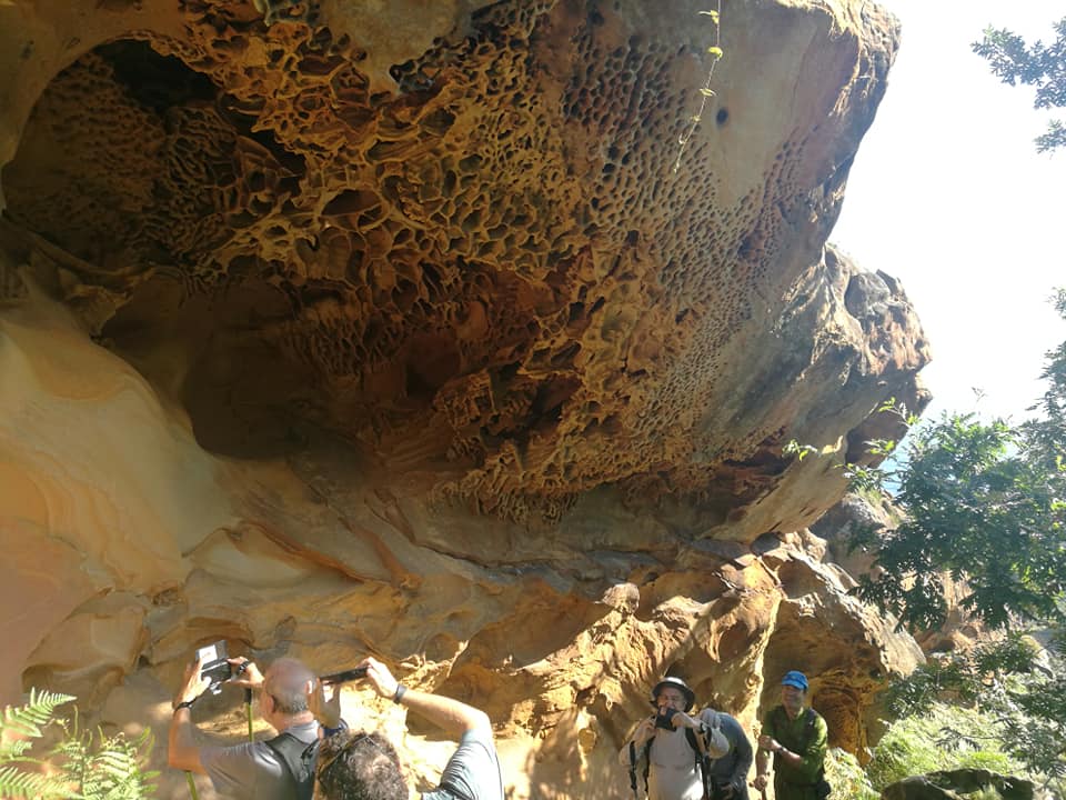 38435741_10214310419225901_7585287526093422592_n