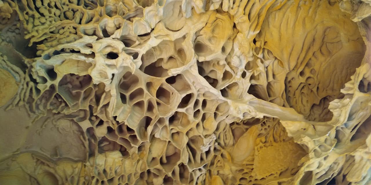 38448965_10214317982094968_2963475770078396416_o