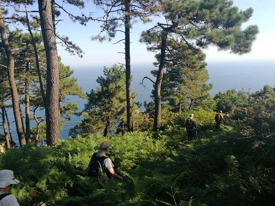 38461337_10214310414625786_3679874463920291840_n