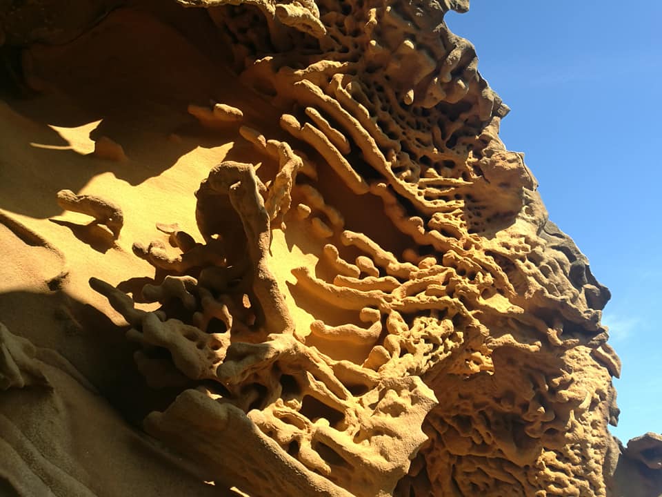 38462117_10214310429546159_8260395070071504896_n