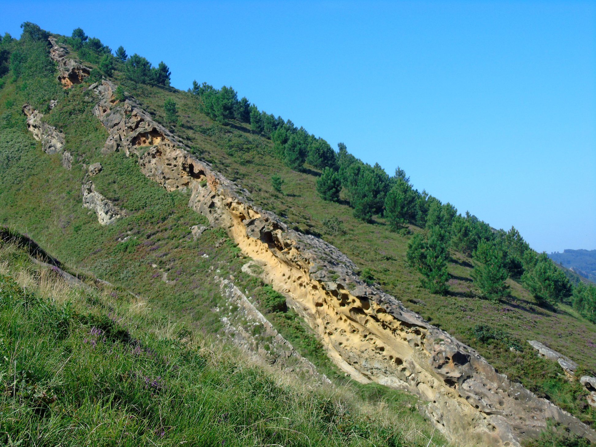 38471760_10214322643731506_5135214790616023040_o