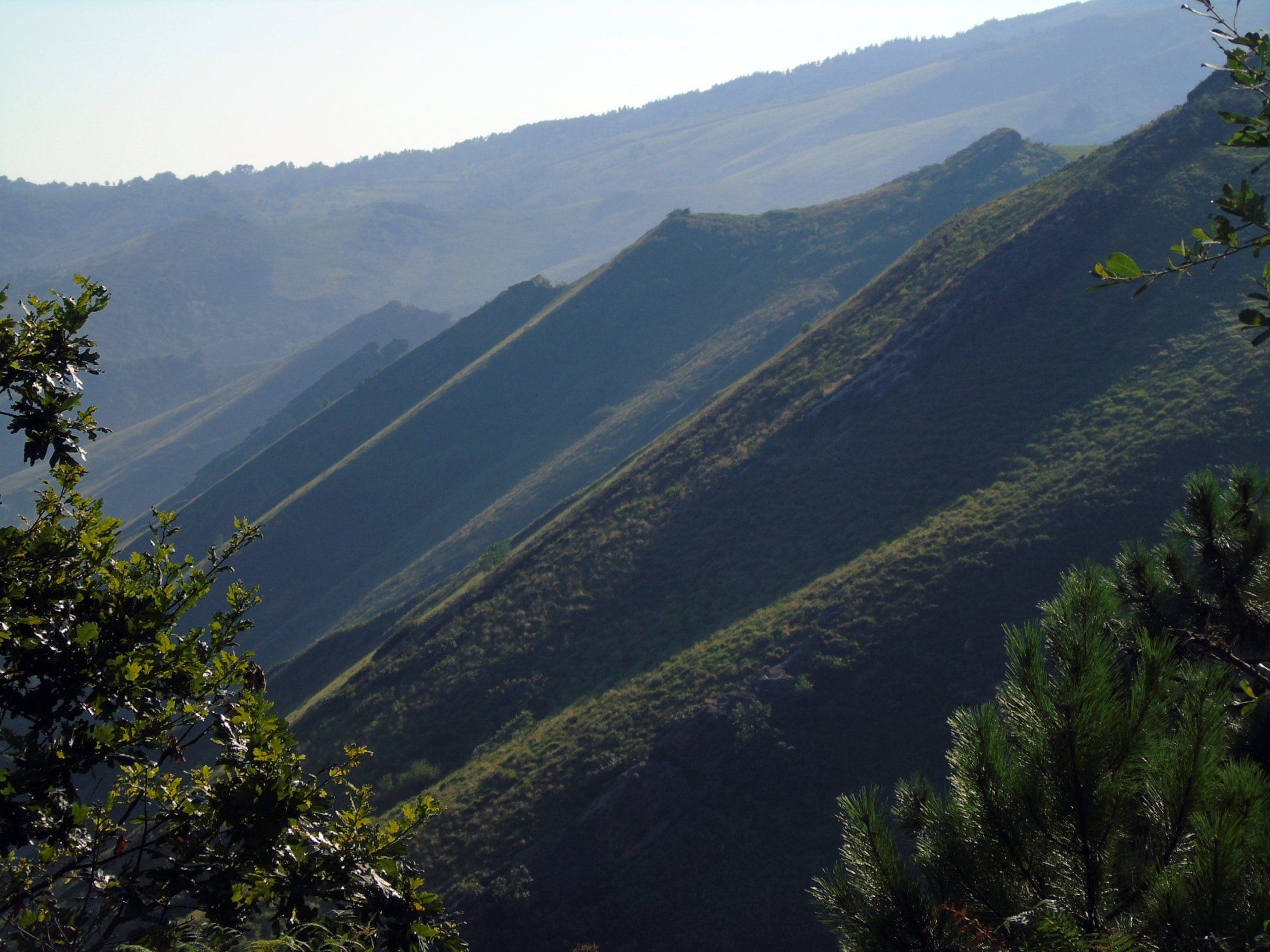 38512083_10214322643451499_8397394313381675008_o