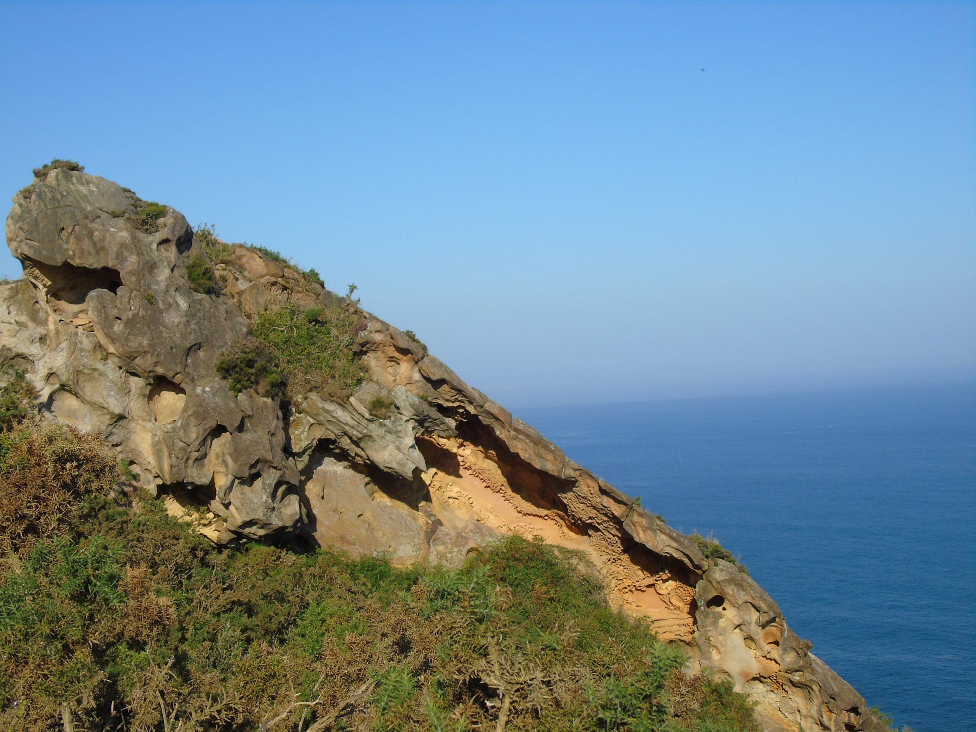 38526550_10214322643931511_8108346364435365888_o