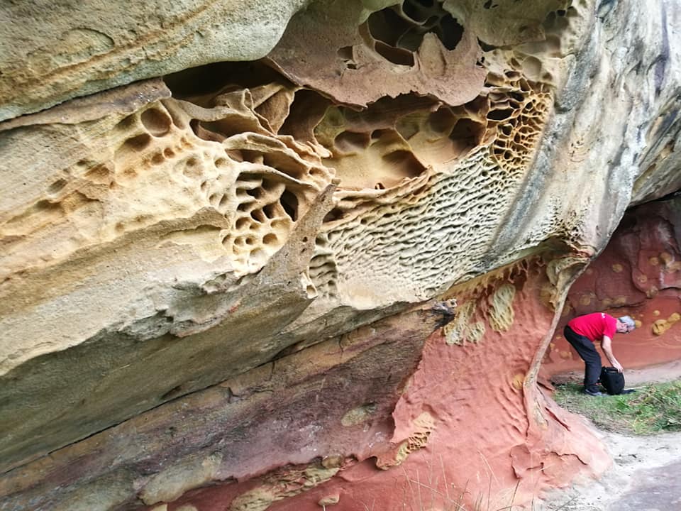 39235535_10214398915758259_5944632052203651072_n