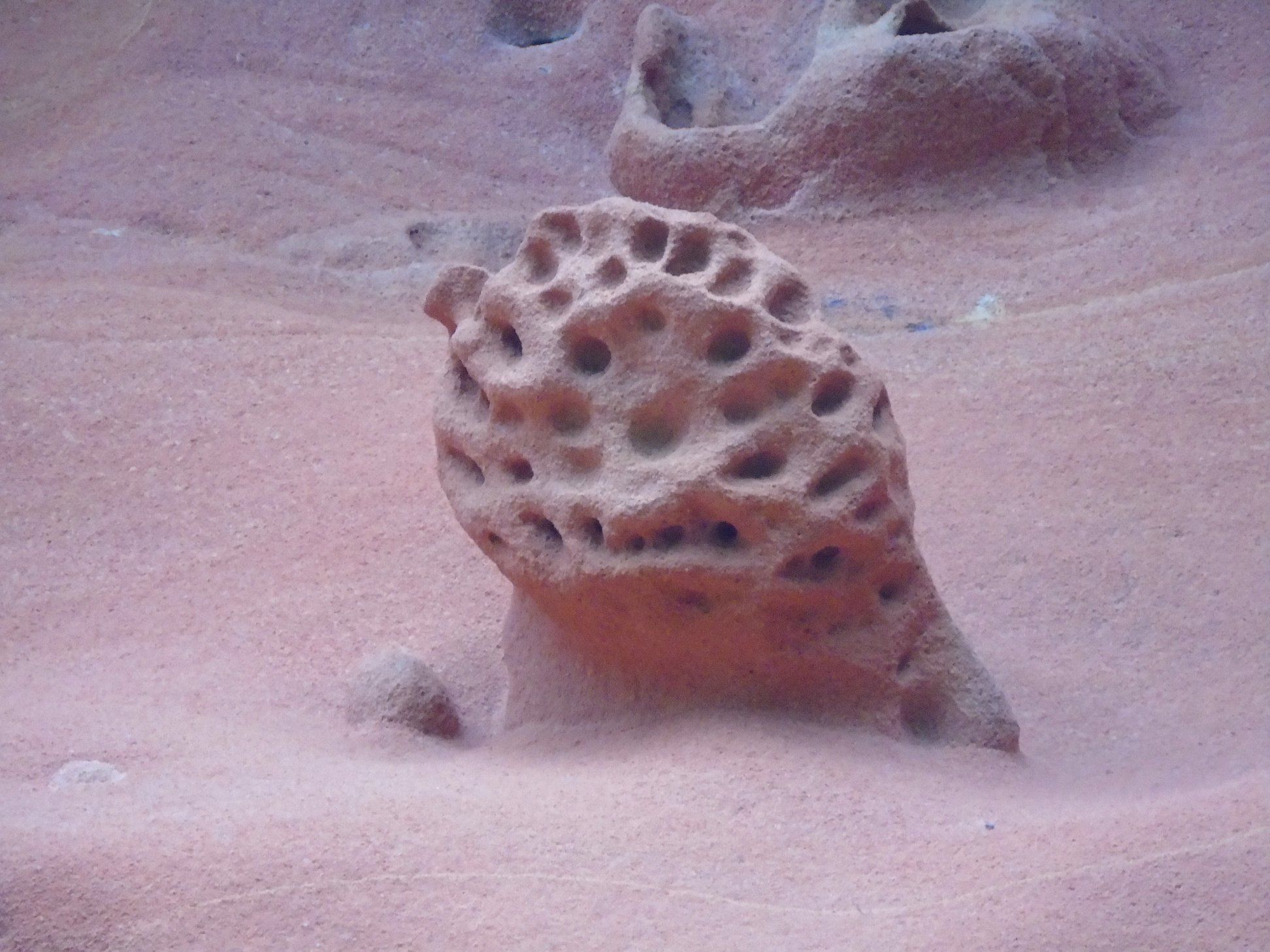 39248873_10214397826571030_7157047366485278720_o