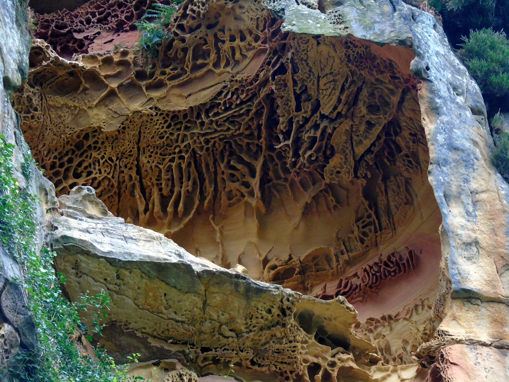 39261737_10214397825170995_2777083951892660224_o