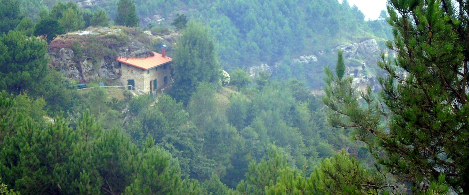 39261842_10214397813970715_8684117250501771264_o