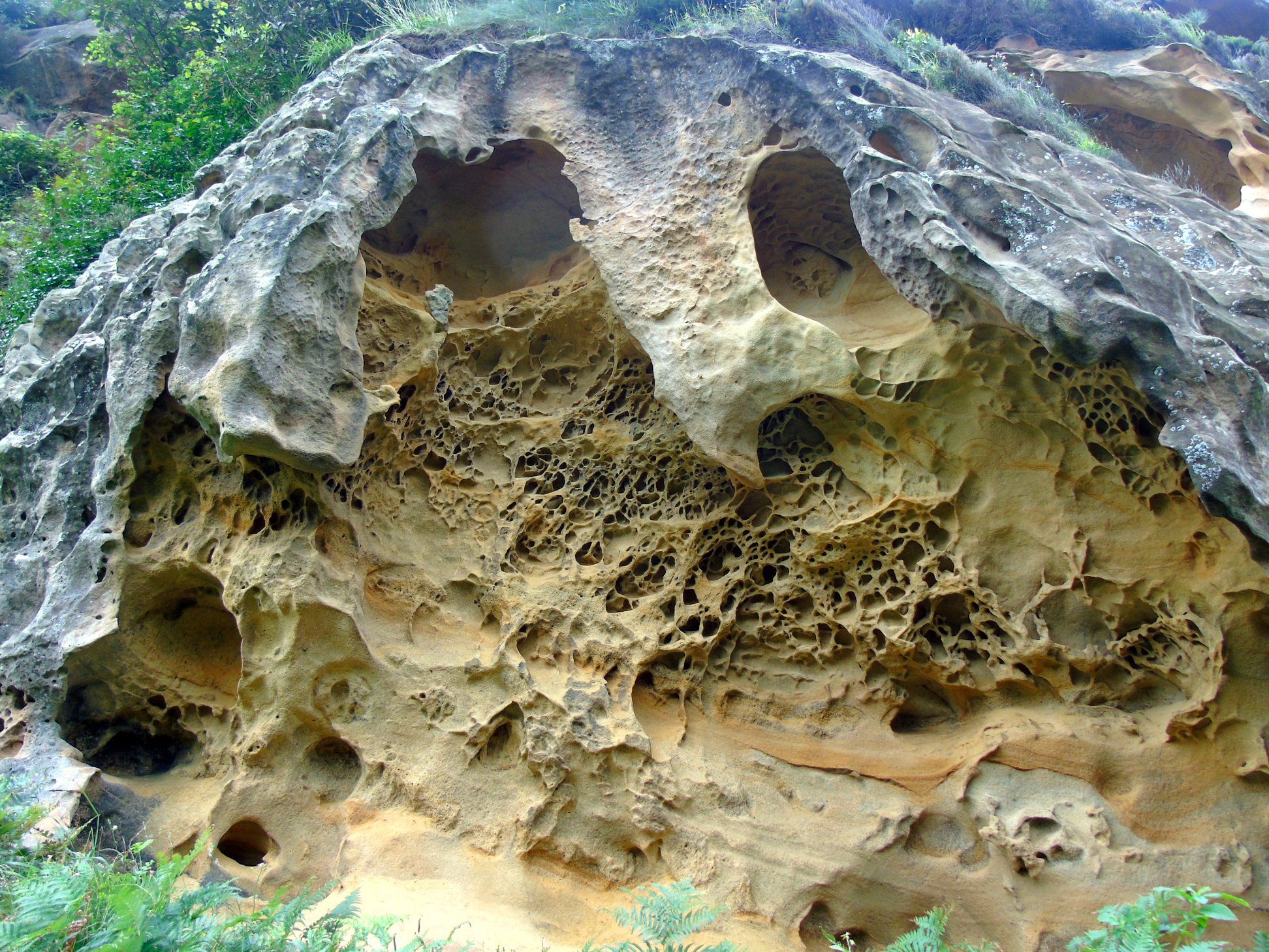 39294875_10214397825491003_4293313097935880192_o