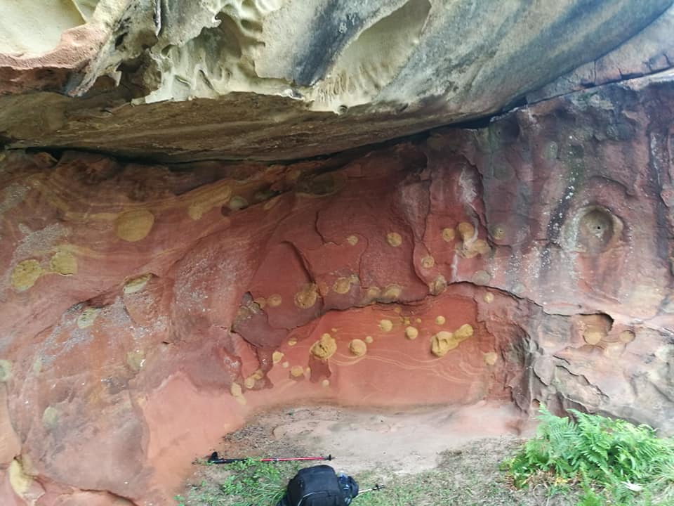 39296956_10214398917158294_6265559636422688768_n