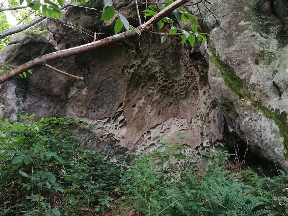 39306827_10214398911198145_567556310141239296_n