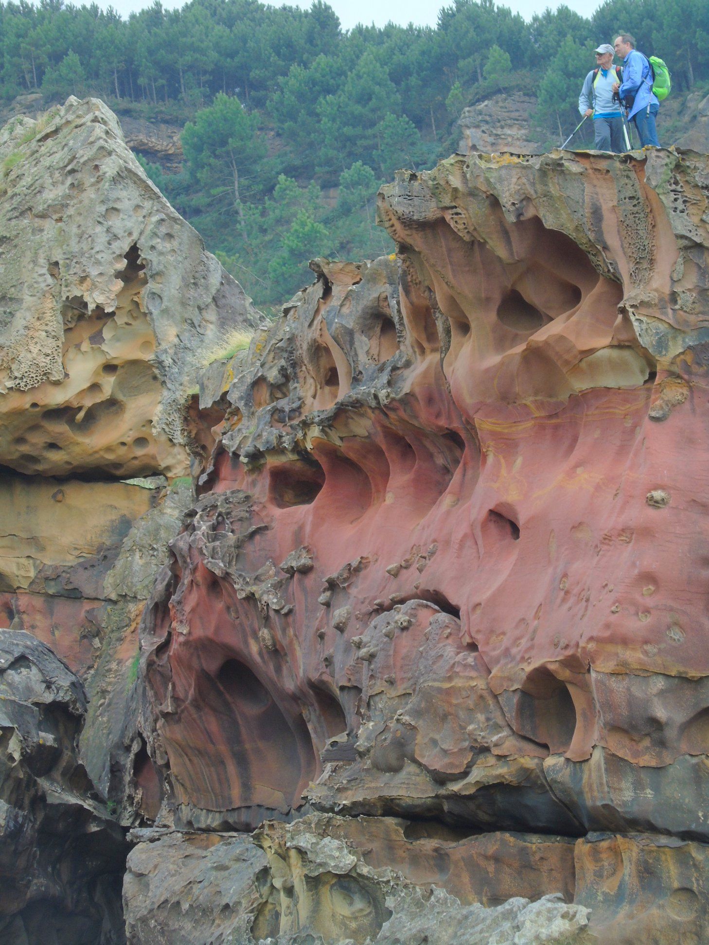 39391883_10214397817810811_7106917865416032256_o