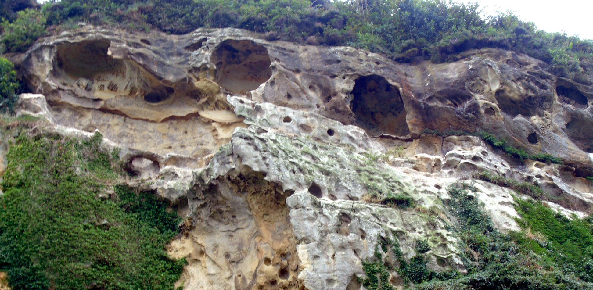 39403394_10214397816090768_7209460162363392000_o