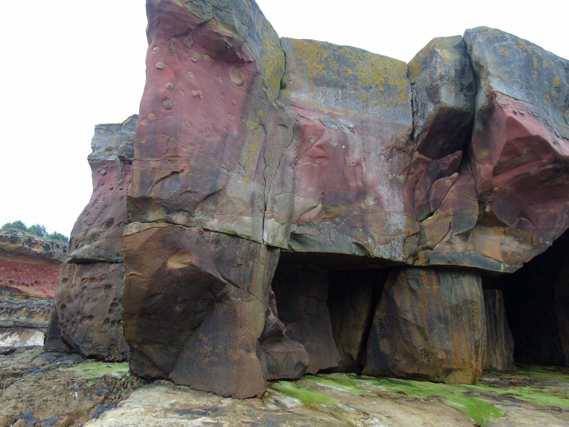 39403789_10214397820650882_5290089266905350144_o