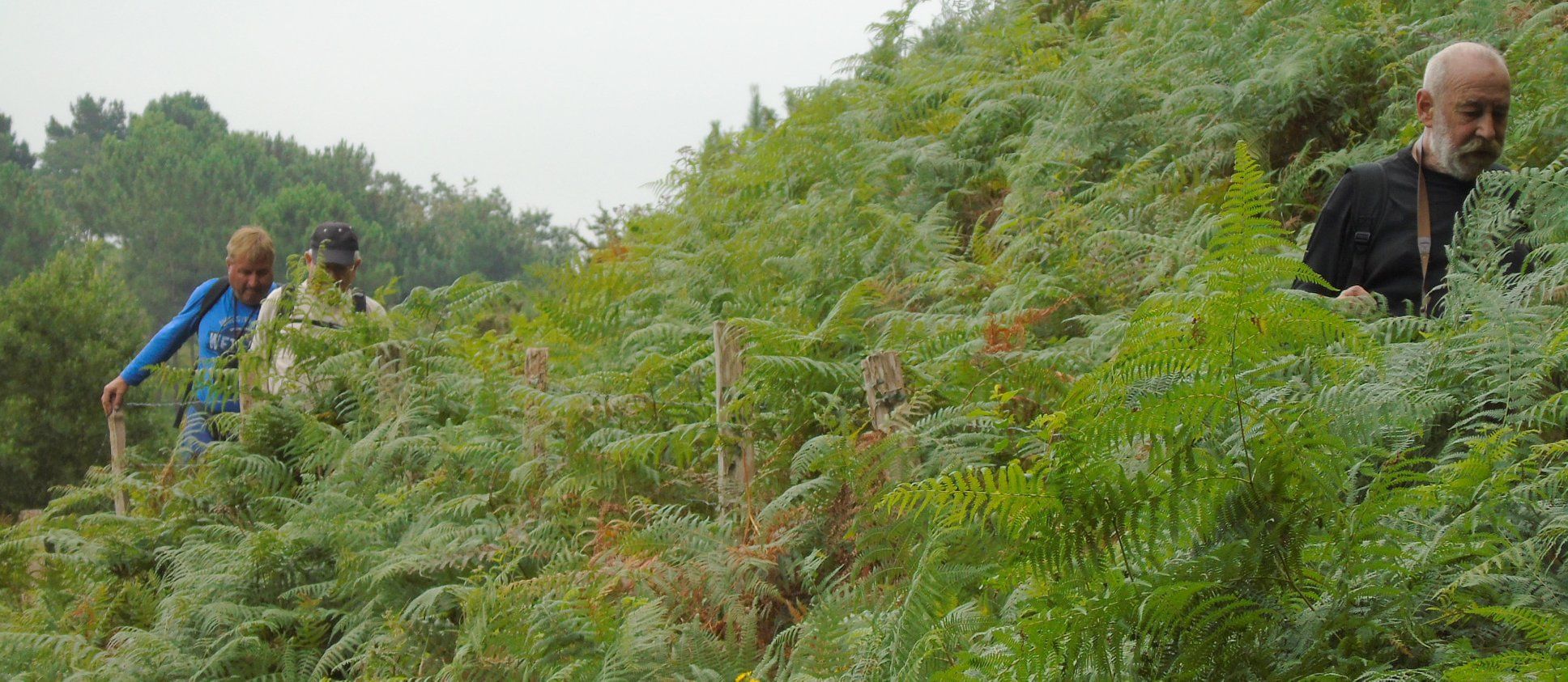 39409361_10214397810570630_1443710332647243776_o