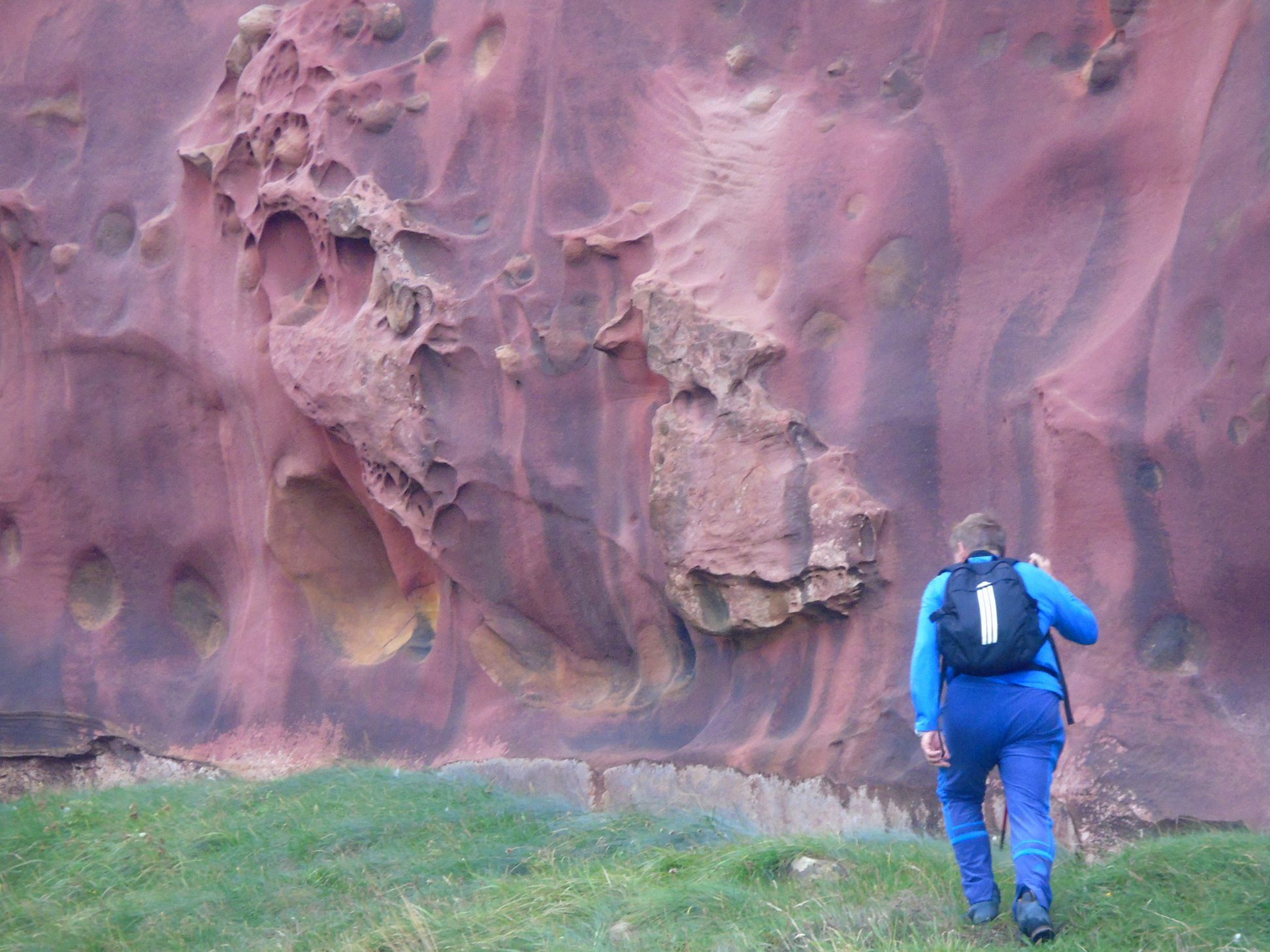 39442683_10214397825290998_6901684876106268672_o