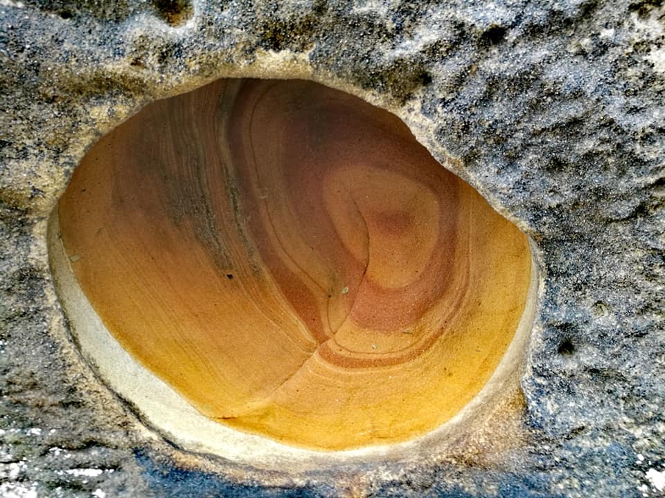 40052783_10214457352299136_8535958612709736448_n