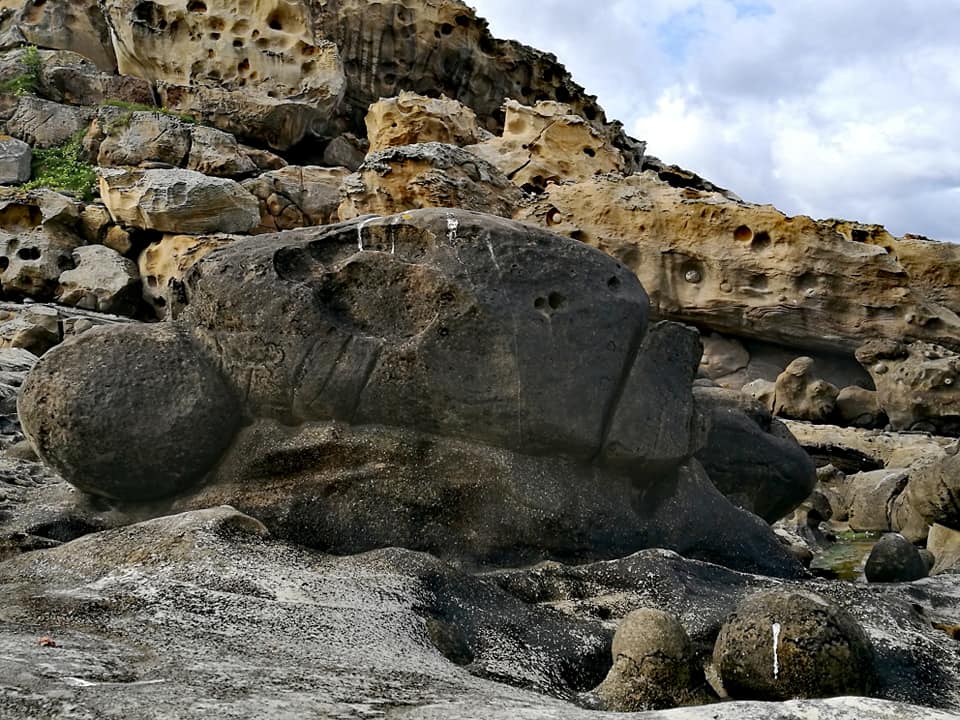 40112674_10214457356539242_1521468091316305920_n