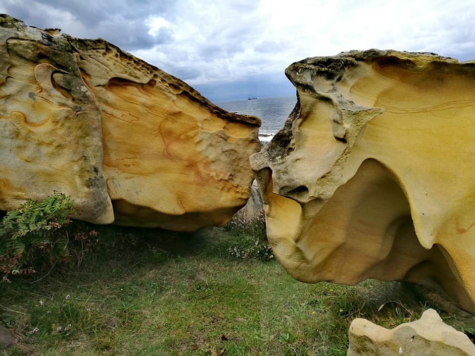 40140017_10214457353539167_1507254863417835520_n