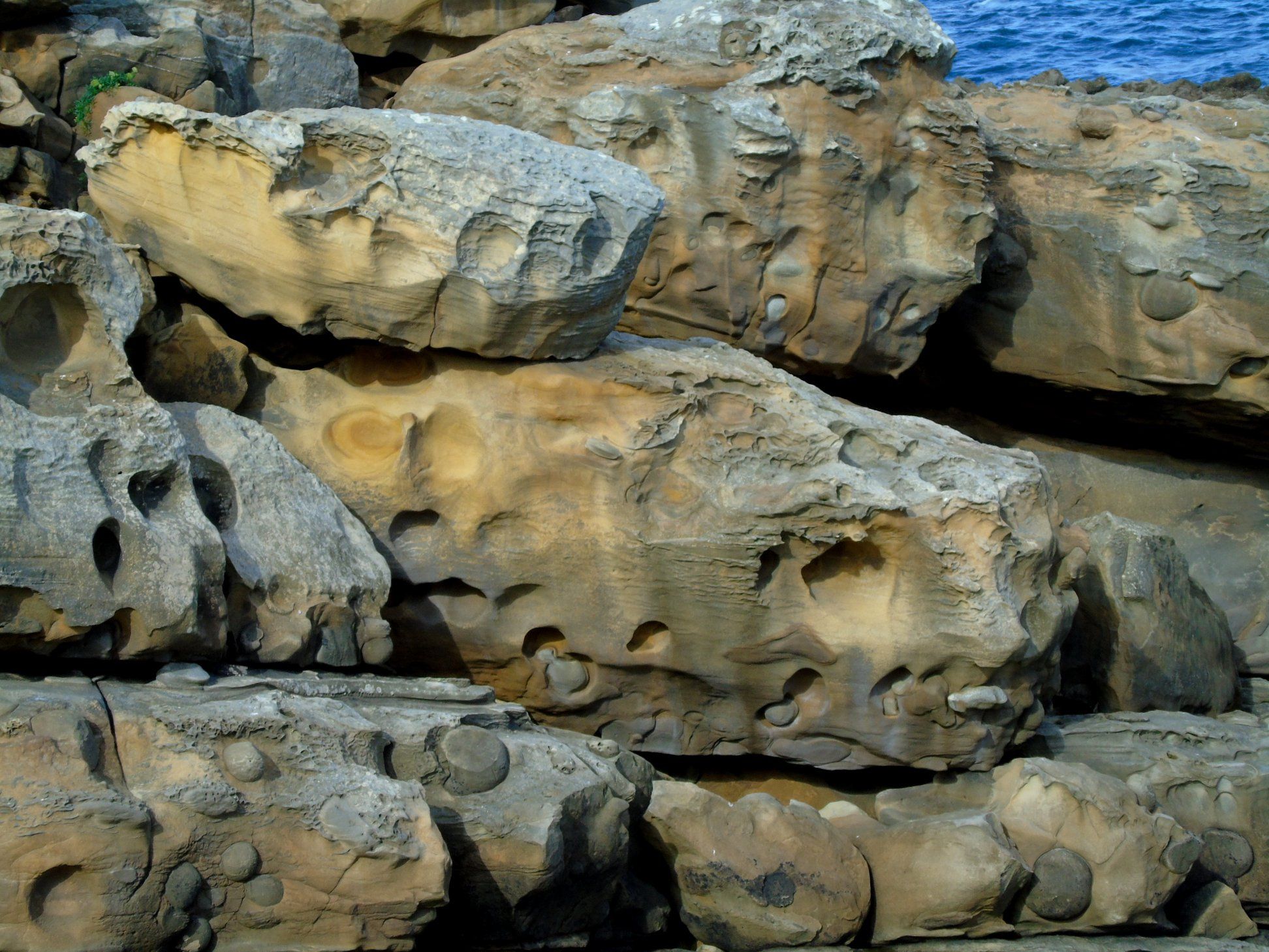 40159404_10214471950064071_8767080457993977856_o