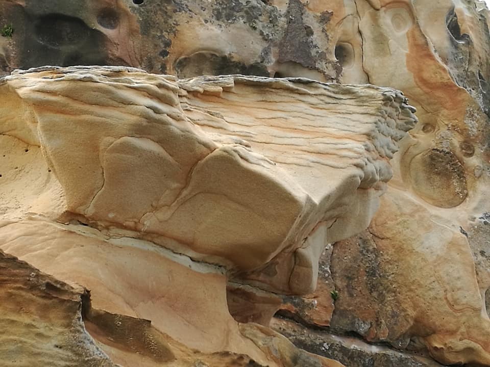 40160145_10214457361499366_2557142271552126976_n