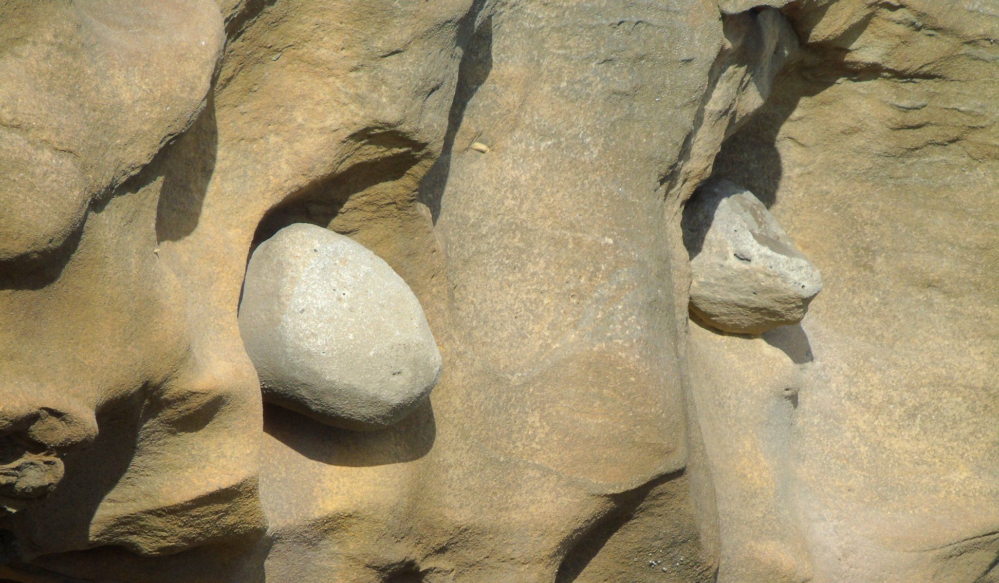 40168259_10214471948464031_4502029335787470848_o