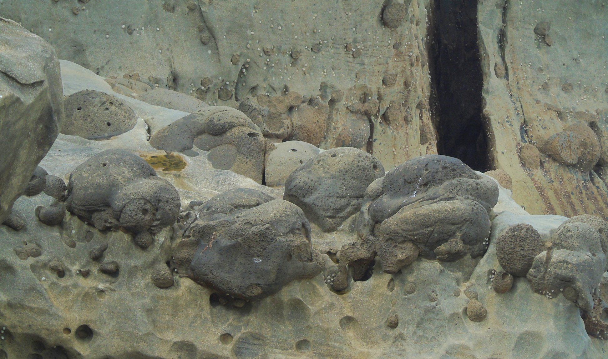 40183396_10214471956464231_2918805855342166016_o